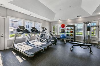the gym is equipped with cardio equipment and weights